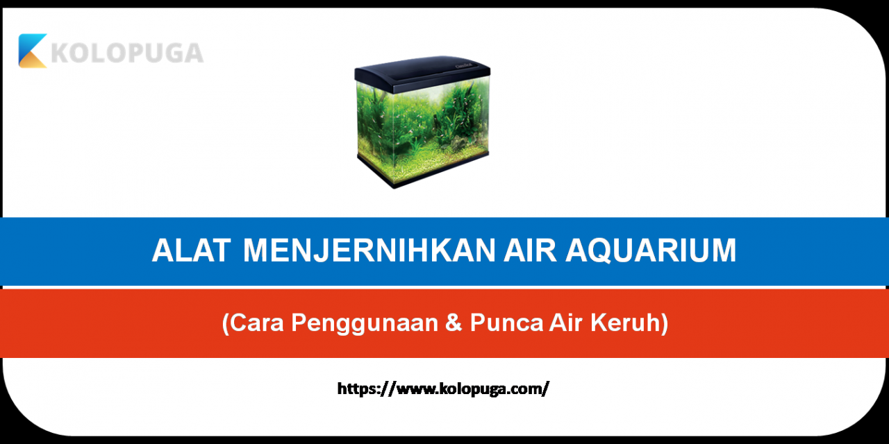CARA DAN ALAT UNTUK MENJERNIHKAN AIR AQUARIUM