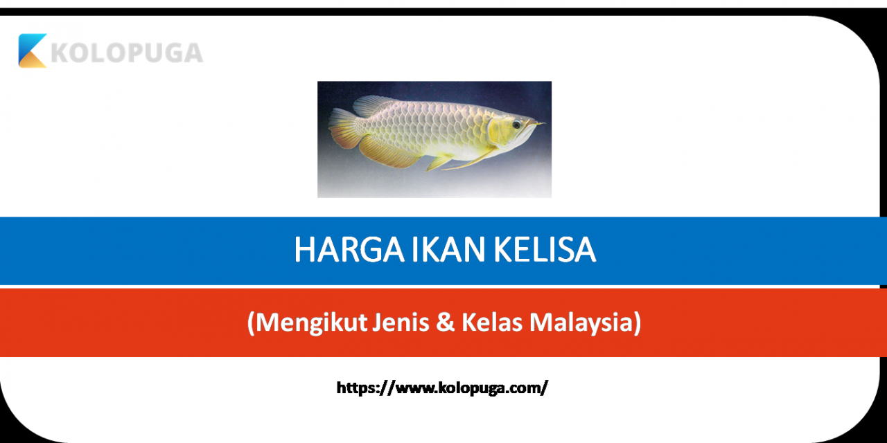 SENARAI HARGA IKAN KELISA MENGIKUT JENIS DAN KELAS MALAYSIA