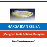 SENARAI HARGA IKAN KELISA MENGIKUT JENIS DAN KELAS MALAYSIA