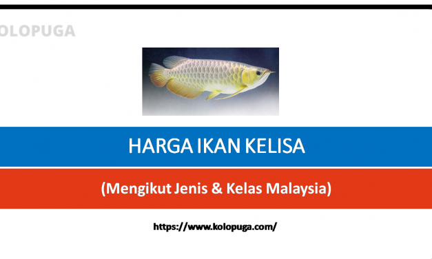 SENARAI HARGA IKAN KELISA MENGIKUT JENIS DAN KELAS MALAYSIA