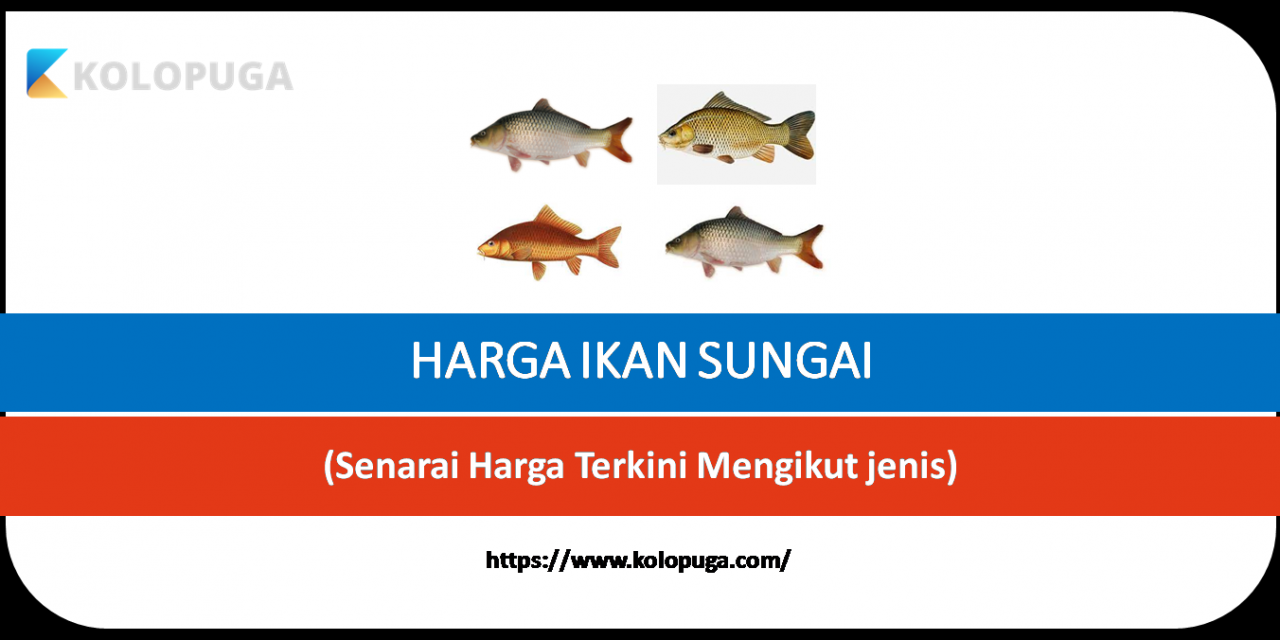 HARGA IKAN SUNGAI TERKINI DI MALAYSIA (Berapa Sekilo)