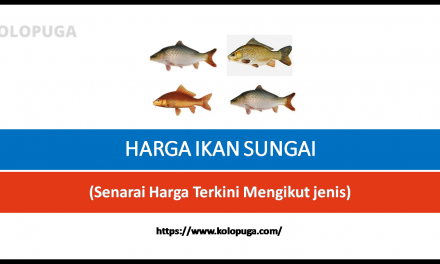 HARGA IKAN SUNGAI TERKINI DI MALAYSIA (Berapa Sekilo)
