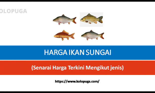 HARGA IKAN SUNGAI TERKINI DI MALAYSIA (Berapa Sekilo)