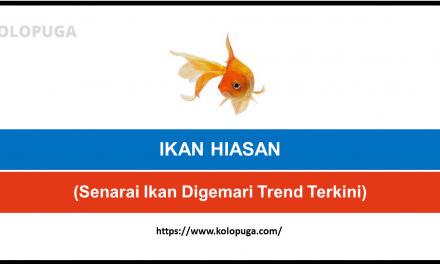 SENARAI IKAN HIASAN YANG DIGEMARI DI MALAYSIA (Trend Terkini)