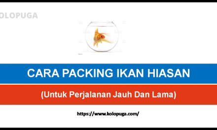 CARA PACKING IKAN HIASAN HIDUP UNTUK PERJALANAN JAUH DAN LAMA