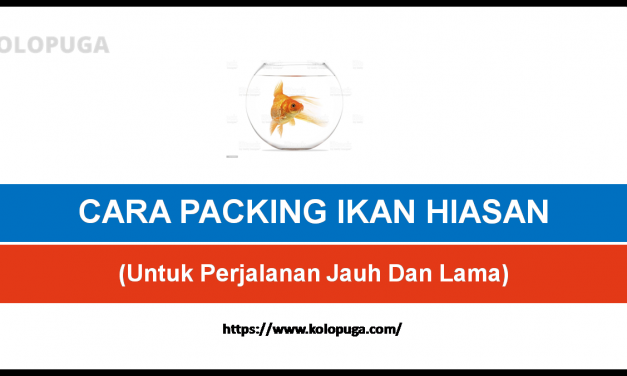 CARA PACKING IKAN HIASAN HIDUP UNTUK PERJALANAN JAUH DAN LAMA