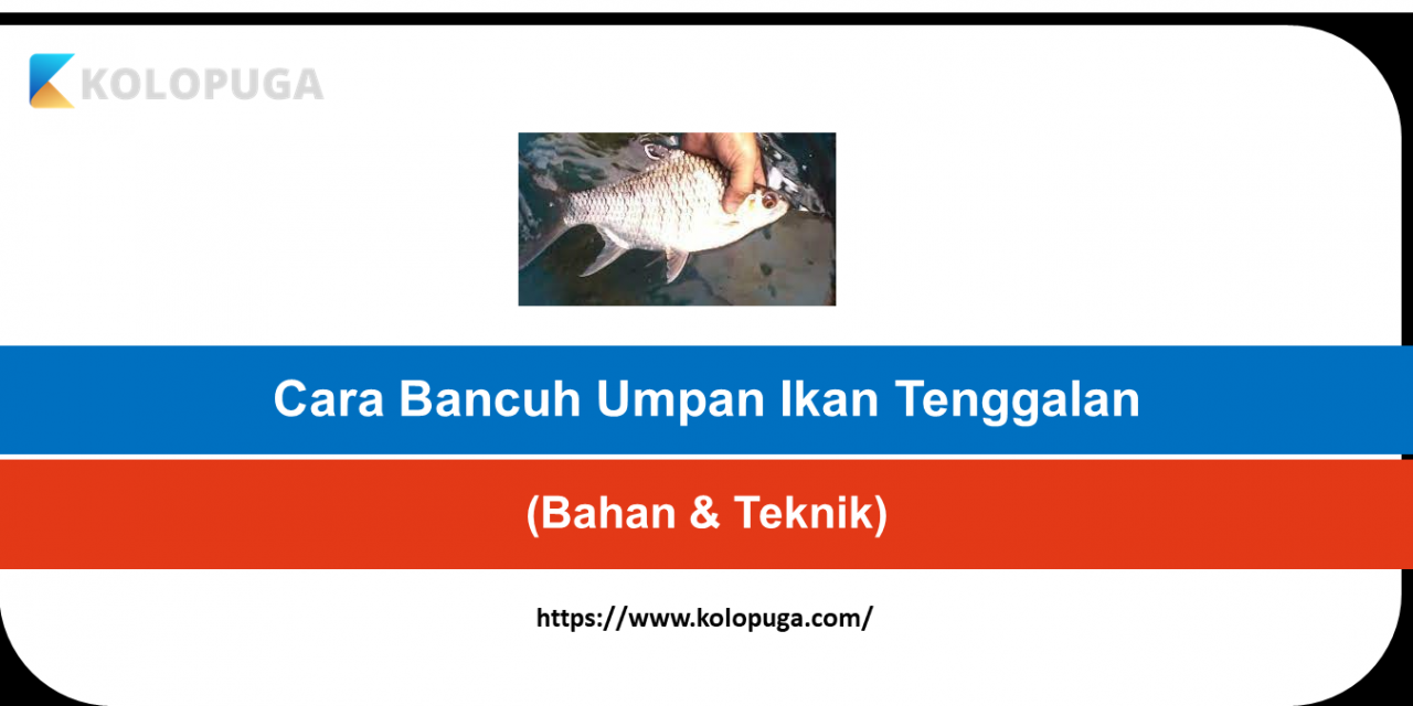 Cara Bancuh Umpan Ikan Tenggalan(Bahan & Teknik)