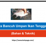 Cara Bancuh Umpan Ikan Tenggalan(Bahan & Teknik)