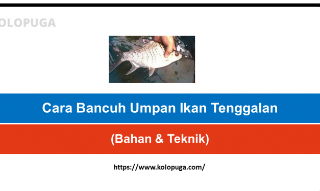 Cara Bancuh Umpan Ikan Tenggalan(Bahan & Teknik)