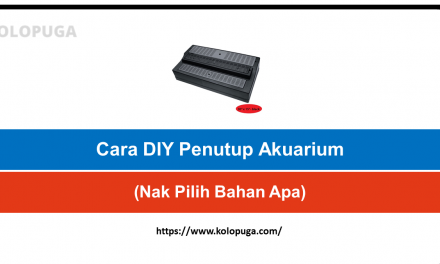 Cara DIY Penutup Akuarium(Nak Pilih Bahan Apa)