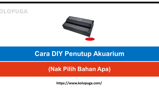Cara DIY Penutup Akuarium(Nak Pilih Bahan Apa)