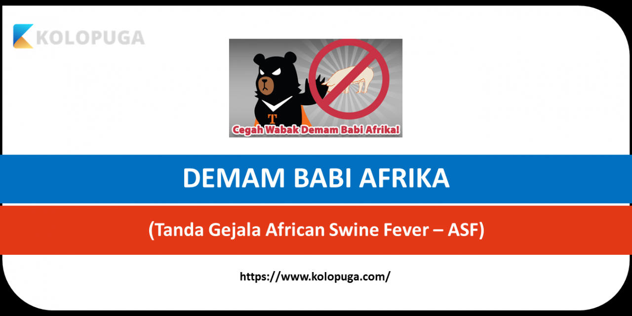 DEMAM BABI AFRIKA – ASF