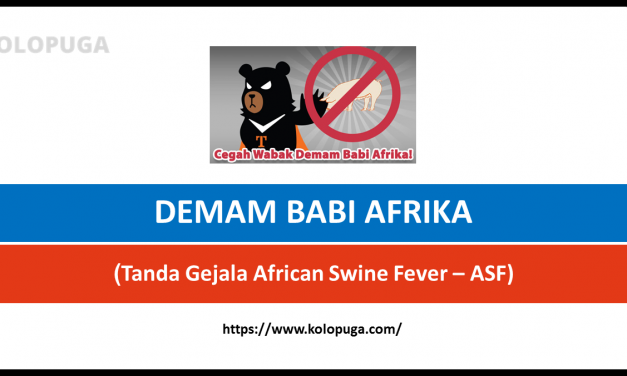 DEMAM BABI AFRIKA – ASF