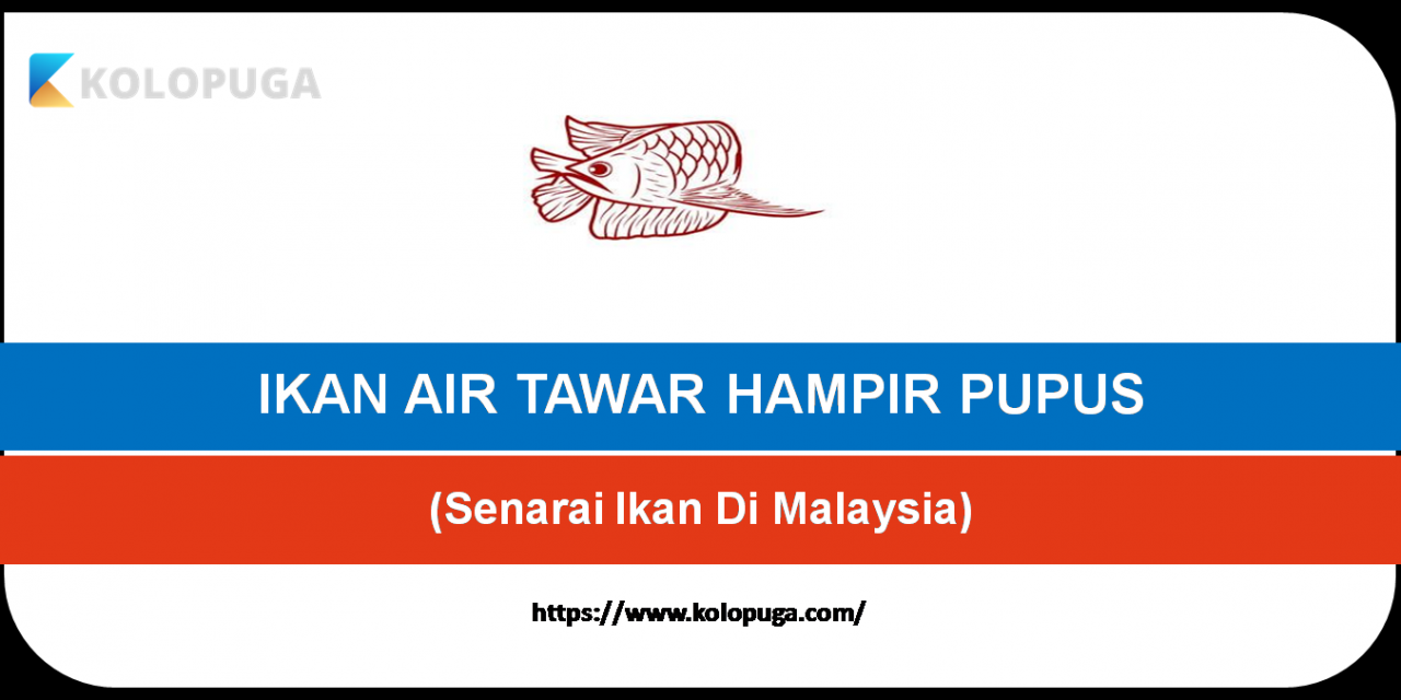 10 SENARAI IKAN AIR TAWAR YANG HAMPIR PUPUS DI MALAYSIA