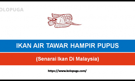 10 SENARAI IKAN AIR TAWAR YANG HAMPIR PUPUS DI MALAYSIA