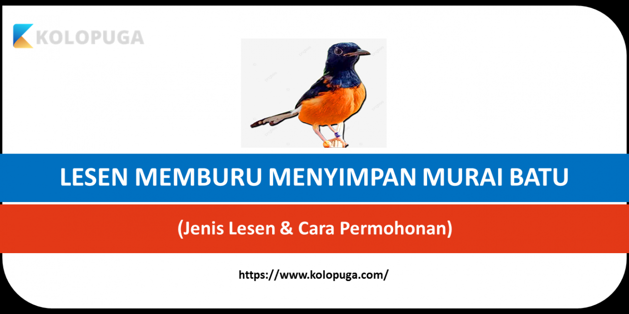 CARA MOHON LESEN MEMBURU/MENYIMPAN MURAI BATU