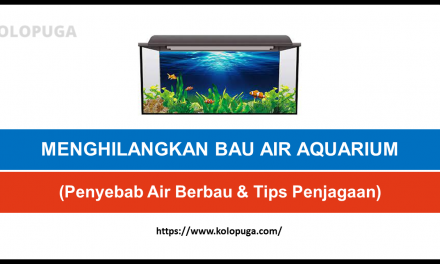CARA MENGHILANGKAN BAU AIR AQUARIUM