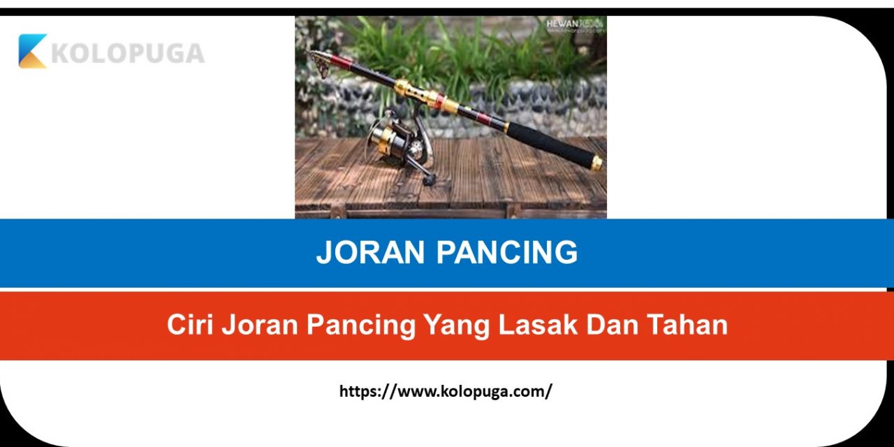 Ciri Joran Pancing Yang Lasak Dan Tahan