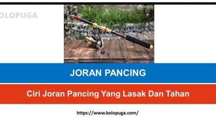 Ciri Joran Pancing Yang Lasak Dan Tahan