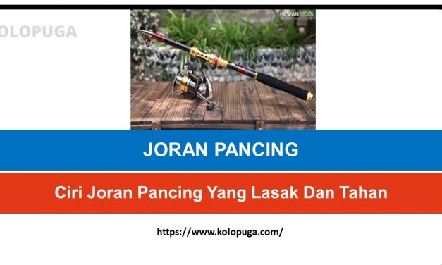 Ciri Joran Pancing Yang Lasak Dan Tahan