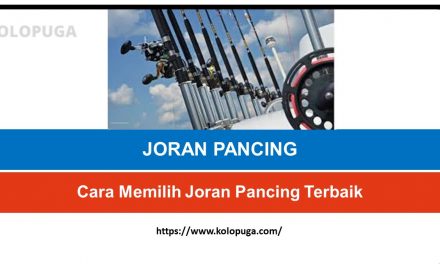 Cara Memilih Joran Pancing Terbaik