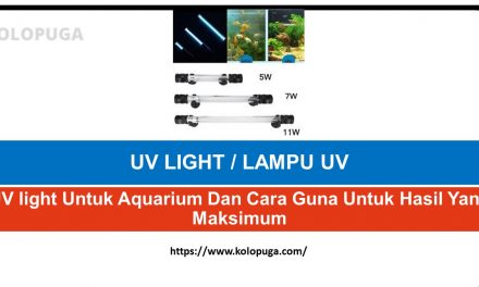 UV Light Untuk Aquarium Dan Cara Guna Untuk Hasil Yang Maksimum