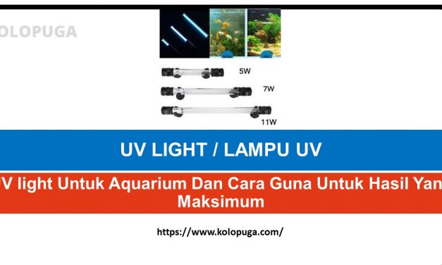 UV Light Untuk Aquarium Dan Cara Guna Untuk Hasil Yang Maksimum