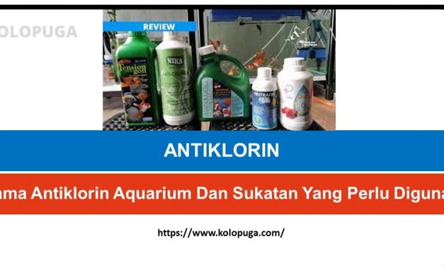 Jenama Antiklorin Aquarium Dan Sukatan Yang Perlu Digunakan